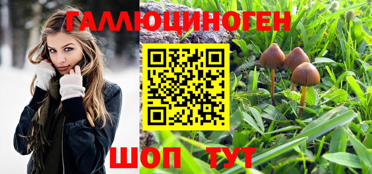 Псилоцибиновые грибы GOLDEN TEACHER  Вход с VPN  Сердобск 